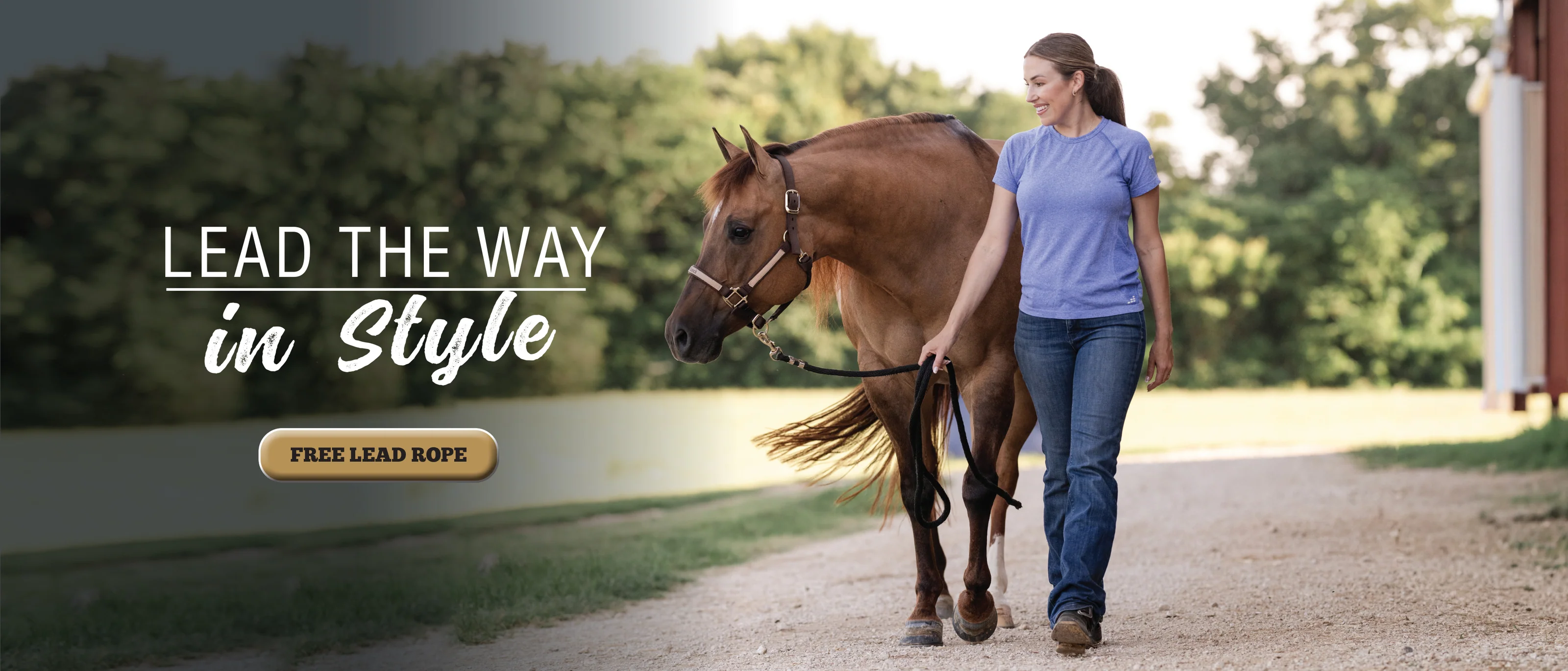 Premium Performance for Every Ride
